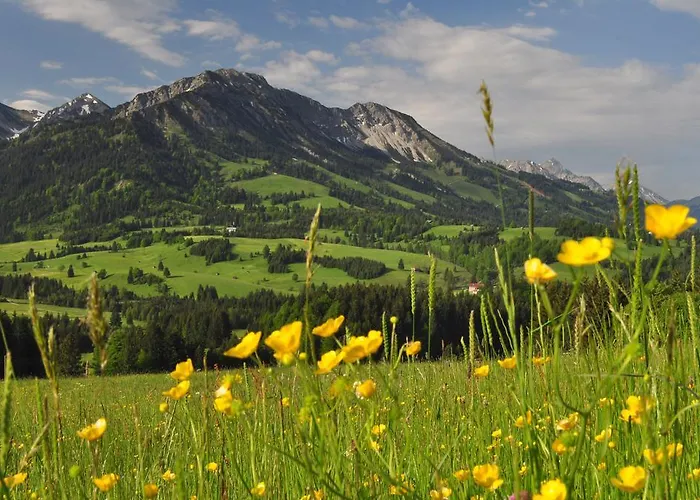 Sonnenpark, Ihr Bett Im Allgaeu * Bad Hindelang